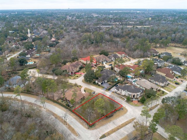 3003 Green Vista, Houston, TX 77068