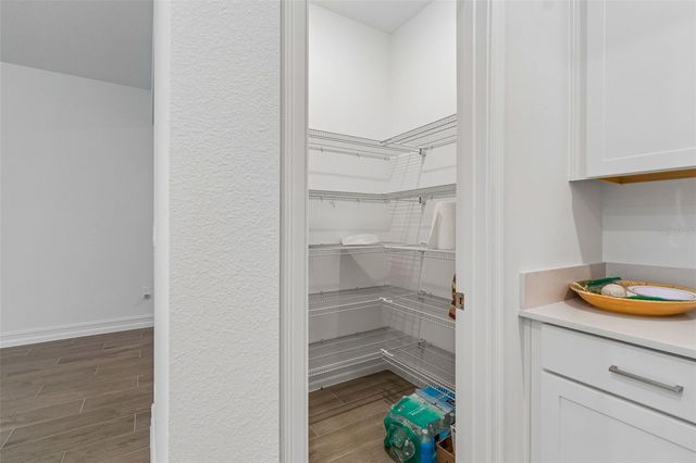 18542 SERENE LAKE LOOP, Lutz, FL 33548