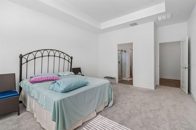 18542 SERENE LAKE LOOP, Lutz, FL 33548