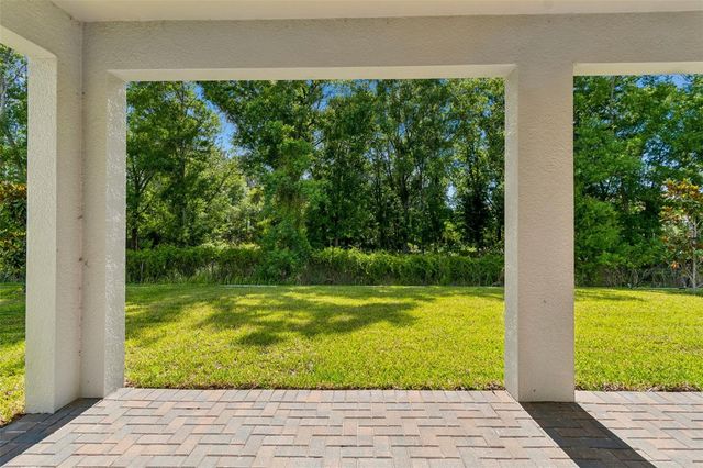 18542 SERENE LAKE LOOP, Lutz, FL 33548
