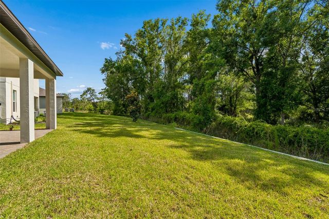 18542 SERENE LAKE LOOP, Lutz, FL 33548