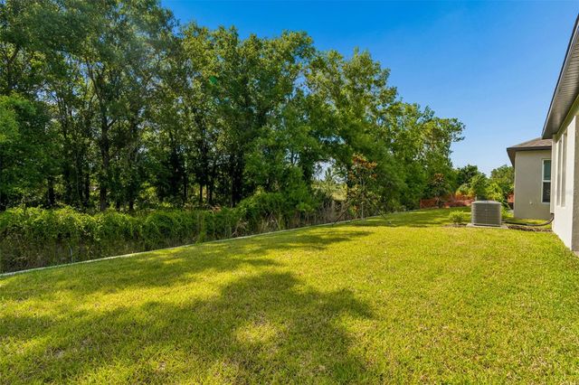 18542 SERENE LAKE LOOP, Lutz, FL 33548