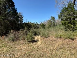 0 Conner Drive, Perkinston, MS 39573