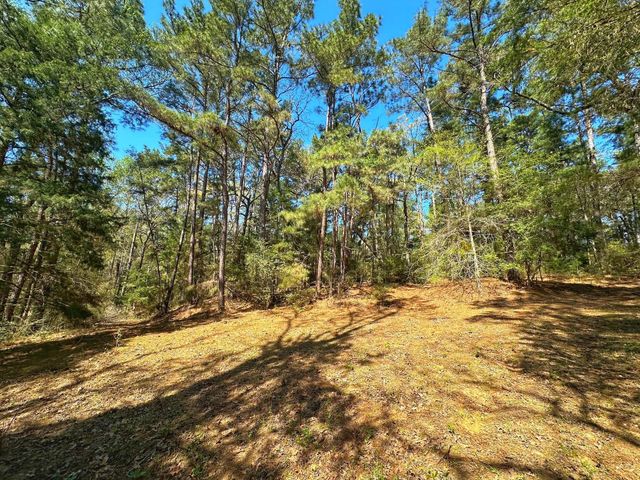 751 Cr 121, Centerville, TX 75833
