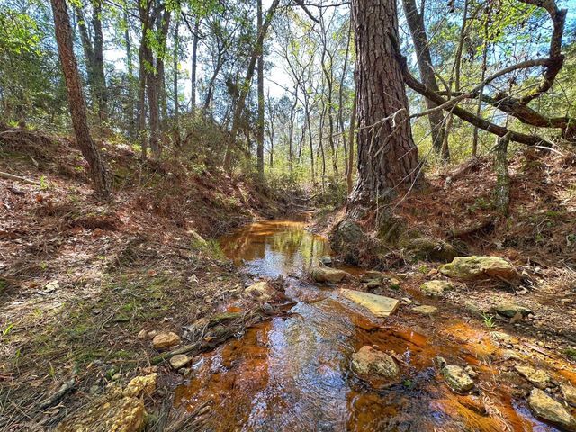 751 Cr 121, Centerville, TX 75833