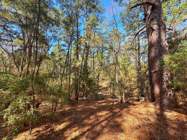 751 Cr 121, Centerville, TX 75833