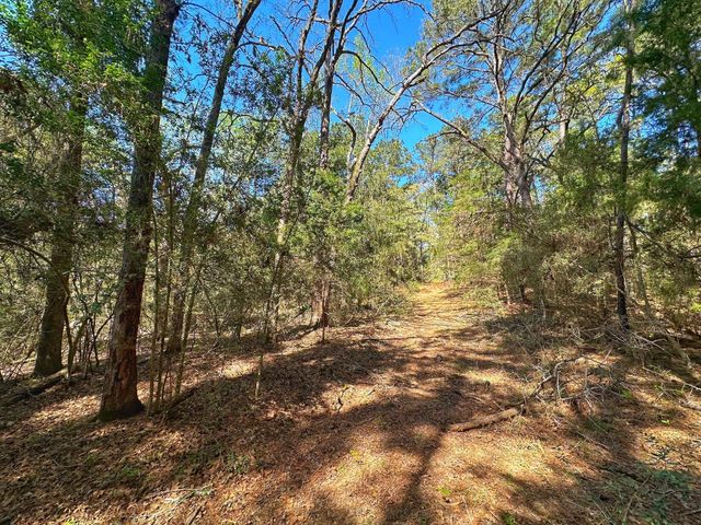 751 Cr 121, Centerville, TX 75833