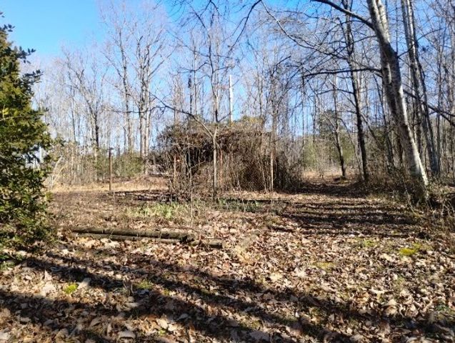 115 Peachwood Ln, Holladay, TN 38341