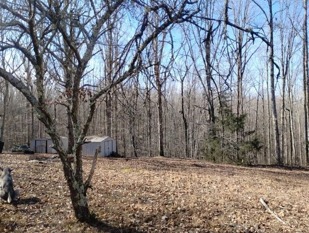 115 Peachwood Ln, Holladay, TN 38341