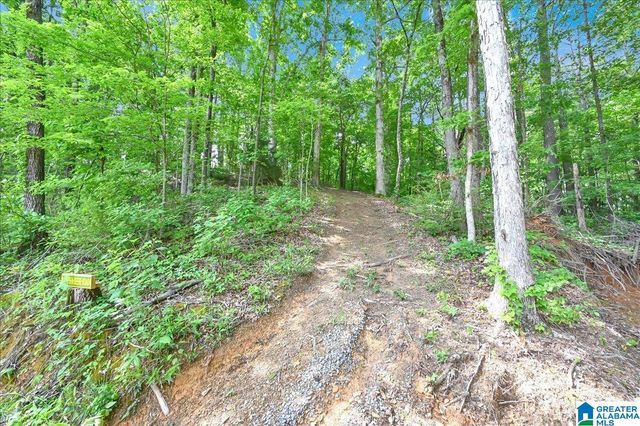 239 DOSS ROAD, Cullman, AL 35057