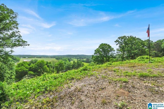 239 DOSS ROAD, Cullman, AL 35057