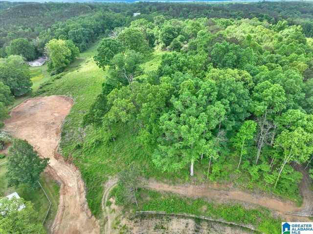 239 DOSS ROAD, Cullman, AL 35057