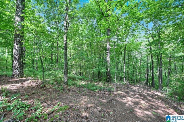 239 DOSS ROAD, Cullman, AL 35057