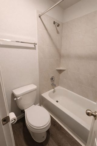 23702 Buttress Root Drive, Spring, TX 77373