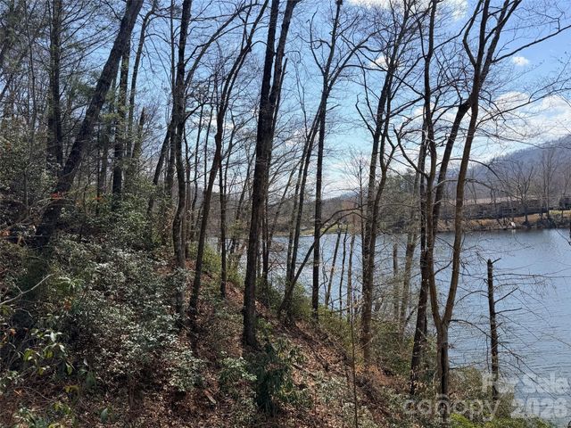 0000 Buffalo Creek Road, Lake Lure, NC 28746