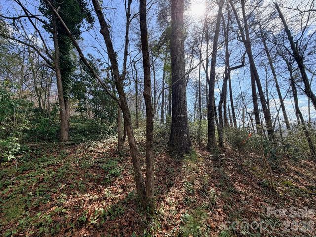 0000 Buffalo Creek Road, Lake Lure, NC 28746