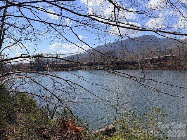 0000 Buffalo Creek Road, Lake Lure, NC 28746