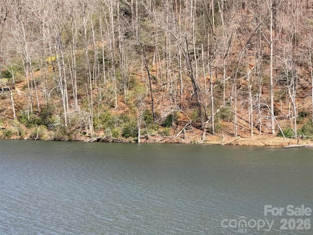 0000 Buffalo Creek Road, Lake Lure, NC 28746