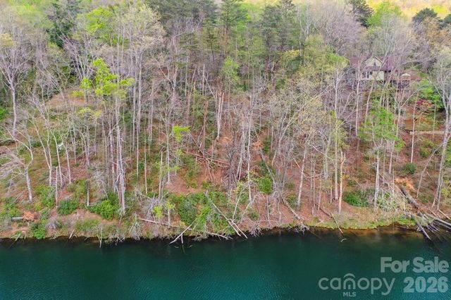 0000 Buffalo Creek Road, Lake Lure, NC 28746