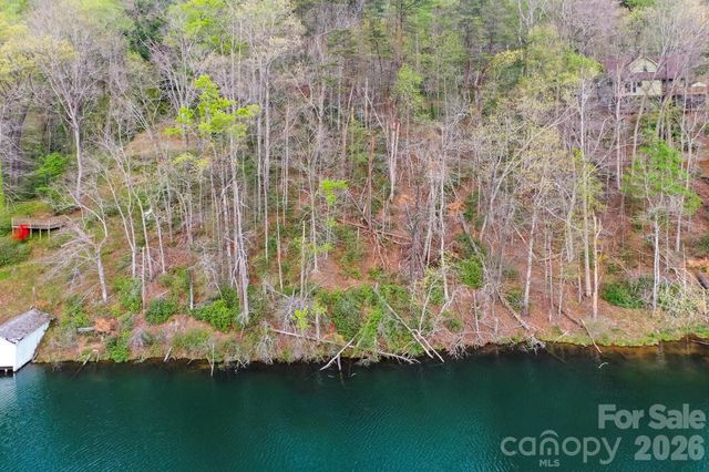 0000 Buffalo Creek Road, Lake Lure, NC 28746