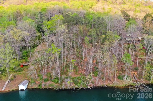 0000 Buffalo Creek Road, Lake Lure, NC 28746