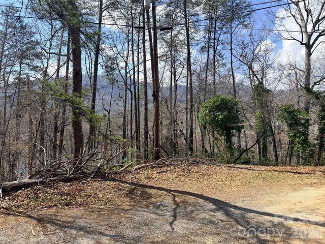 0000 Buffalo Creek Road, Lake Lure, NC 28746