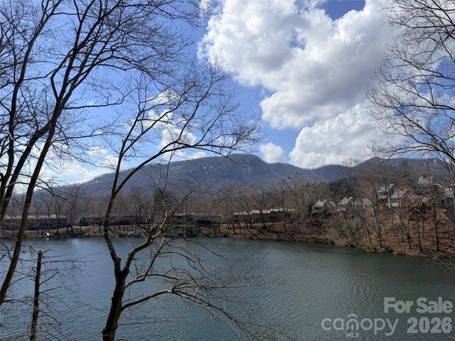 0000 Buffalo Creek Road, Lake Lure, NC 28746