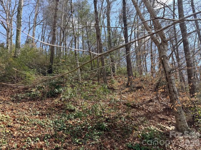 0000 Buffalo Creek Road, Lake Lure, NC 28746