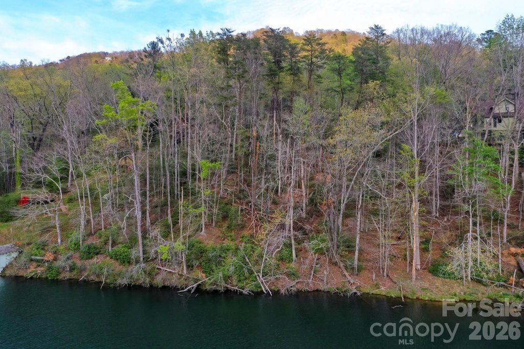0000 Buffalo Creek Road, Lake Lure, NC 28746