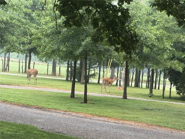 29721 S Hess Road, Harrisonville, MO 64701