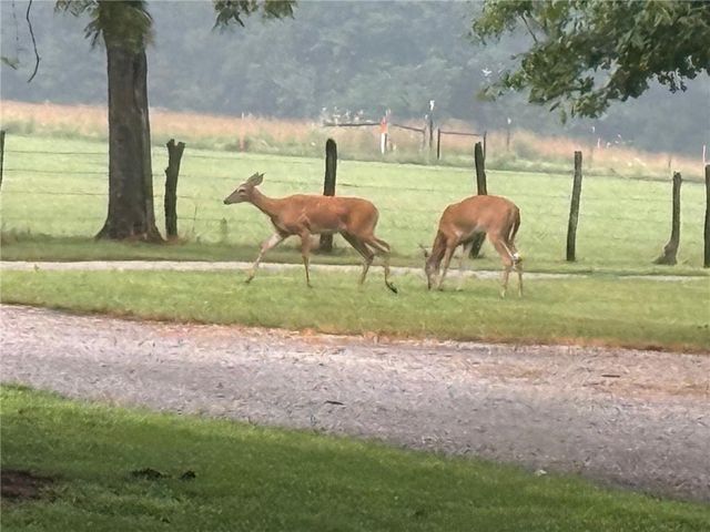 29721 S Hess Road, Harrisonville, MO 64701