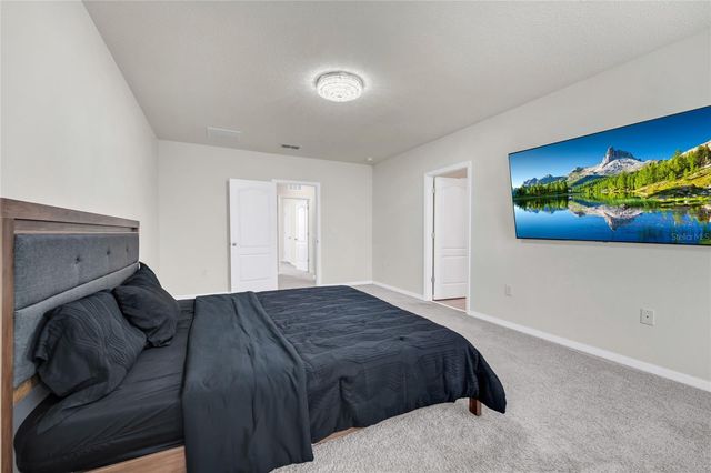 529 TALISI LOOP, St Cloud, FL 34771