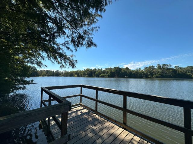 14920 Coaltown Road, Willis, TX 77378