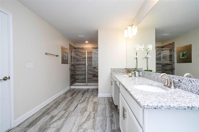 1646 MOON VALLEY DRIVE, Davenport, FL 33896