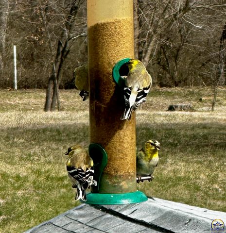 14296 123rd LN, Hoyt, KS 66440