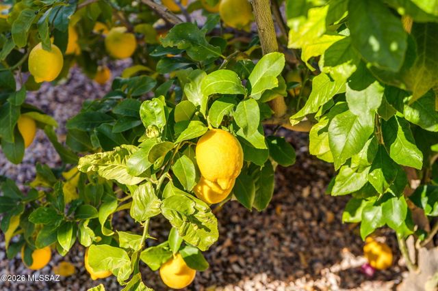 10233 E Encinas Trail, Tucson, AZ 85747