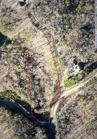 LT 54 Honeysuckle Way, Ellijay, GA 30540