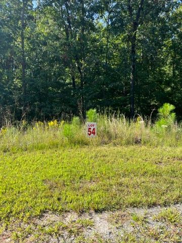 LT 54 Honeysuckle Way, Ellijay, GA 30540