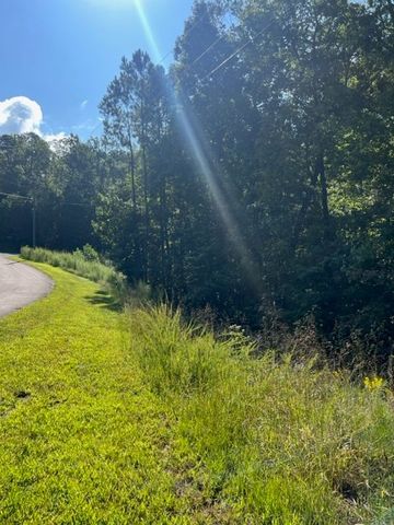 LT 54 Honeysuckle Way, Ellijay, GA 30540