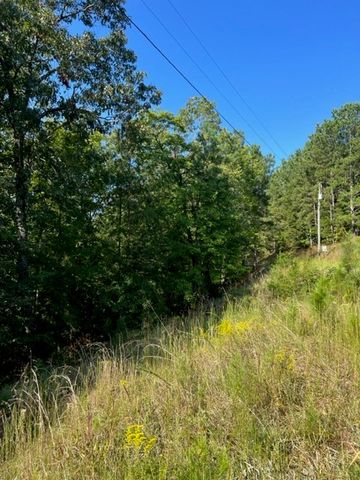 LT 54 Honeysuckle Way, Ellijay, GA 30540