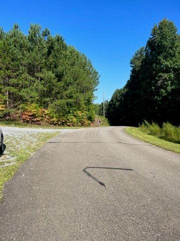 LT 54 Honeysuckle Way, Ellijay, GA 30540