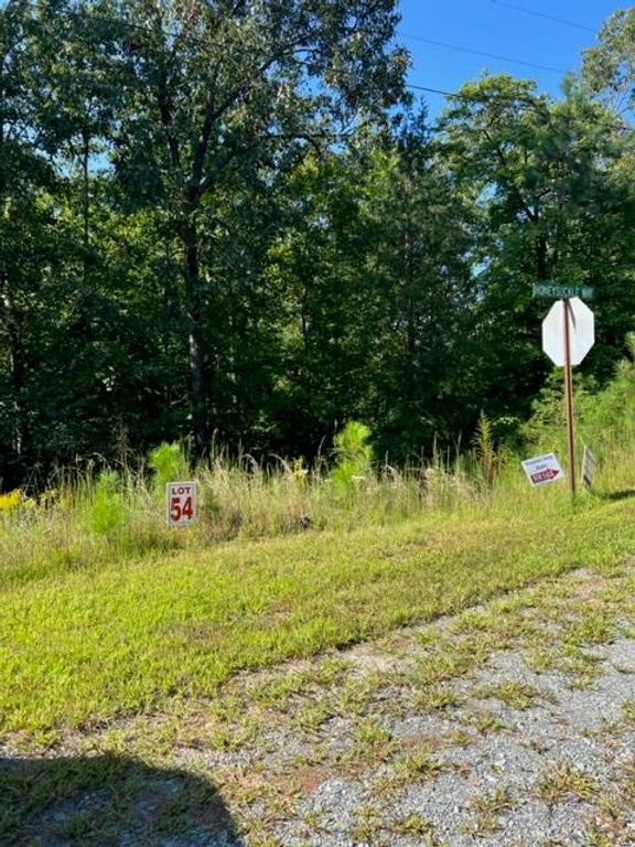 LT 54 Honeysuckle Way, Ellijay, GA 30540