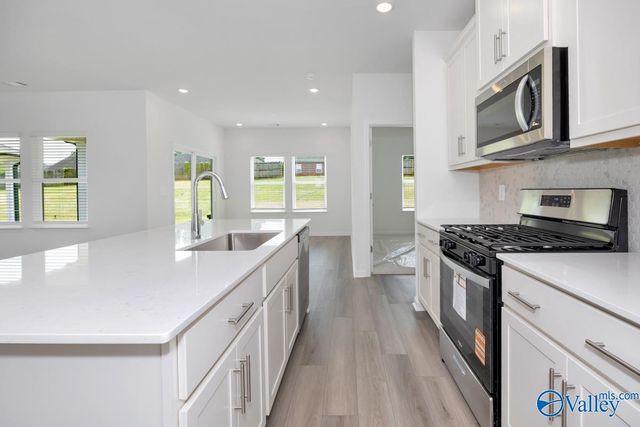 29544 Gallows Cove, Harvest, AL 35749