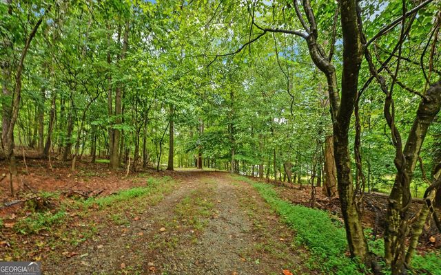 6285 Old Shadburn Ferry Road, Buford, GA 30518