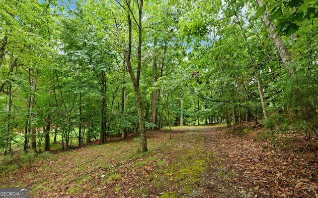 6285 Old Shadburn Ferry Road, Buford, GA 30518