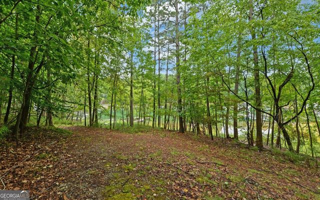 6285 Old Shadburn Ferry Road, Buford, GA 30518