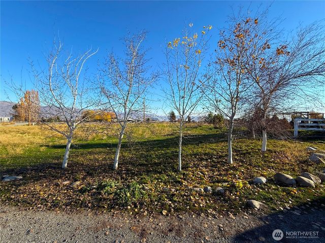 33 Greenacres Road, Riverside, WA 98849