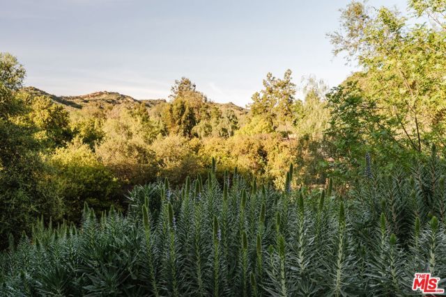 20465 Callon Dr, Topanga (los Angeles), CA 90290