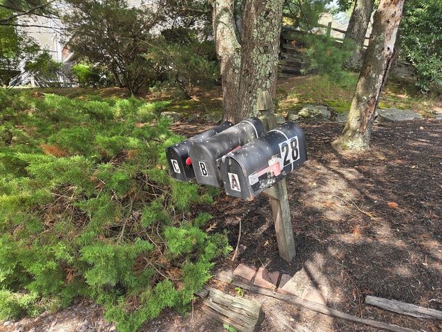 28 Pemberton St B, Walpole, MA 02081