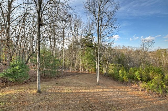 334 Prince Drive, Morganton, GA 30560